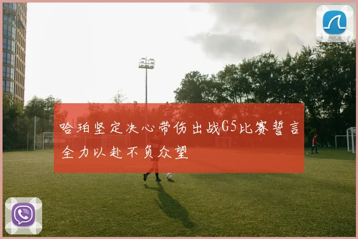 哈珀坚定决心带伤出战G5比赛誓言全力以赴不负众望